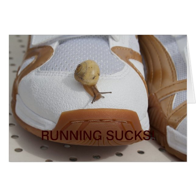 Prêt Pour La Course Des Escargots (Devant horizontal)