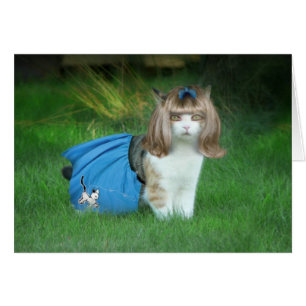 Prêt pour le Sock Hop !