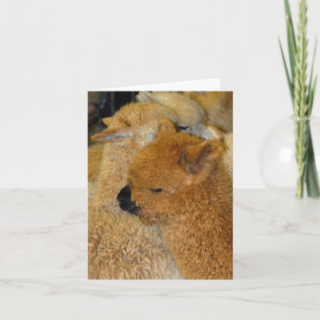 Pretty baby karte (Vorderseite)