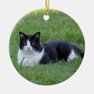 Pretty Black and White Tuxedo Cat Photo Keramik Ornament