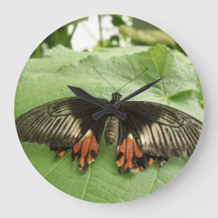 Pretty Black Red and Gold Butterfly Wall Clock Große Wanduhr