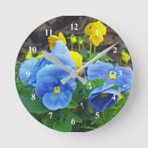 Pretty Blue and Yellow Pansy Floral Photo