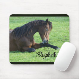 Pretty Brown Horse Laying in the Grass Mousepad