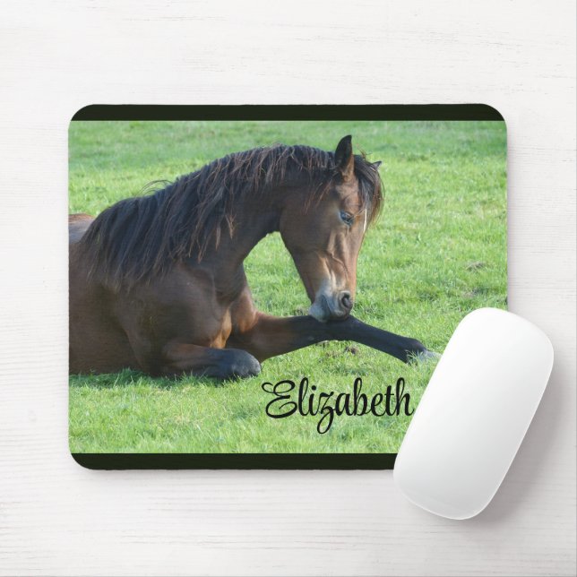 Pretty Brown Horse Laying in the Grass Mousepad (Mit Mouse)