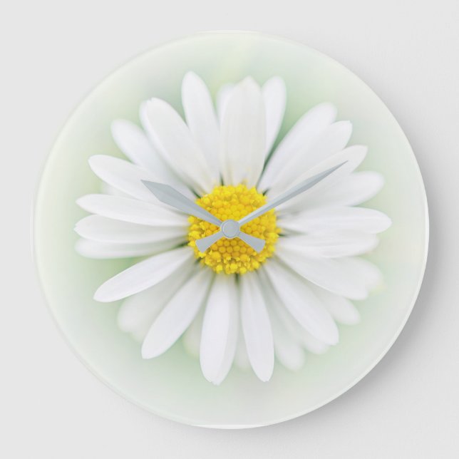 Pretty Daisy White Yellow Flower Shabby Chic Clock Große Wanduhr (Vorderseite)