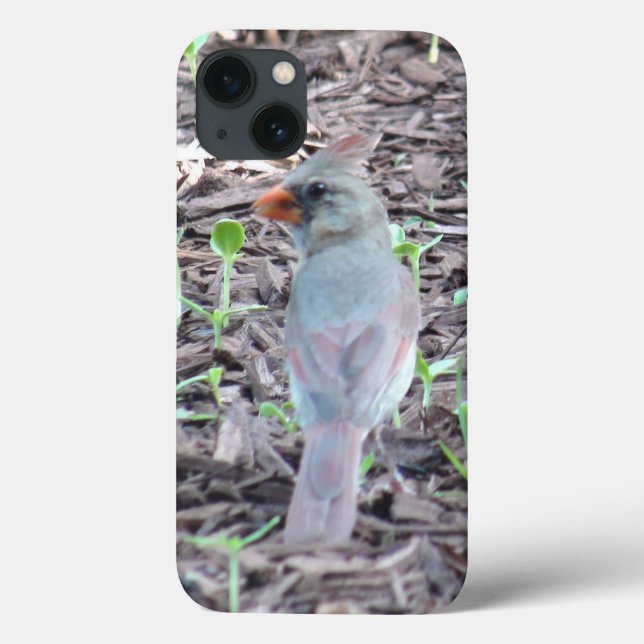 Pretty Female Cardinal Cell Phone Case (Rückseite)