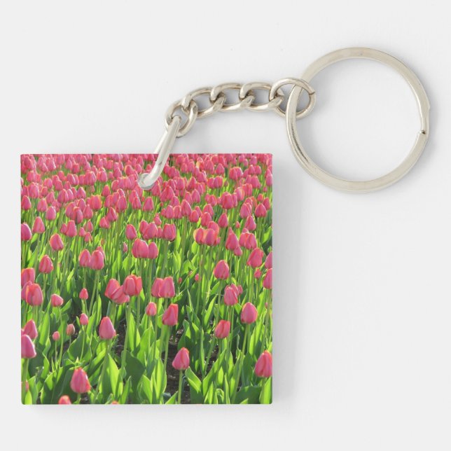 Pretty Field of Pink Tulips (Dos)
