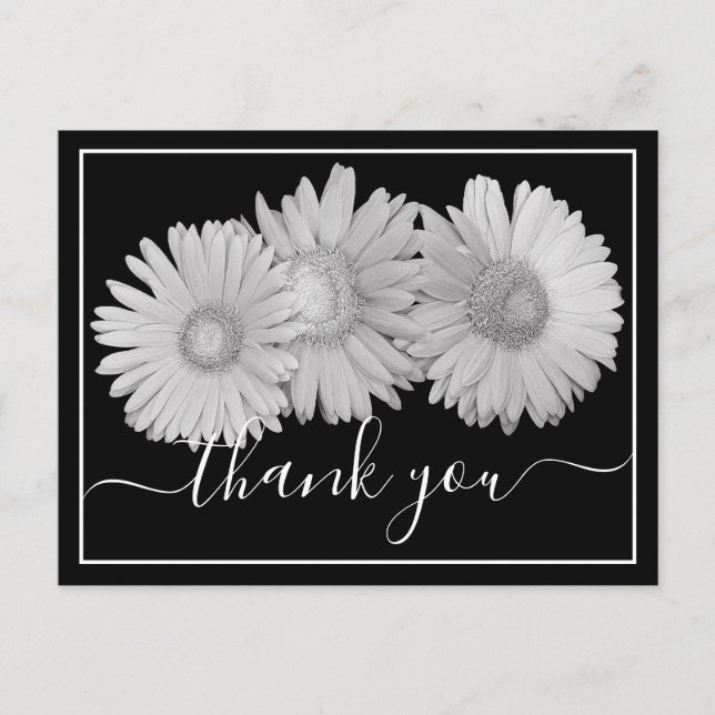 Pretty Gerbera Daisies Botanical Colorful Floral Postkarte (Vorderseite)