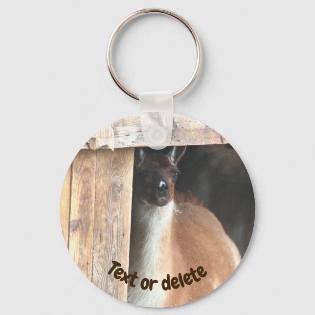 Pretty Llama Farm Animal Personalized Schlüsselanhänger (Vorderseite)