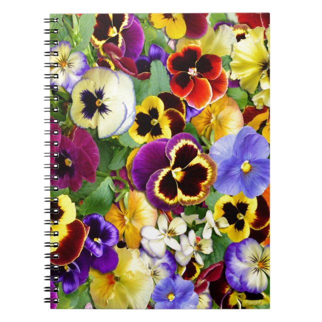 Pretty Pansies Notizblock (Vorderseite)