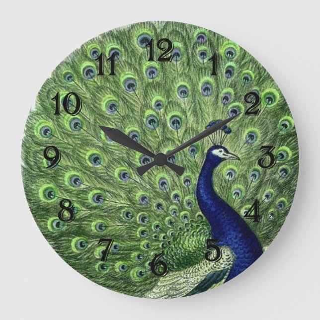 Pretty Peacock Große Wanduhr (Vorderseite)