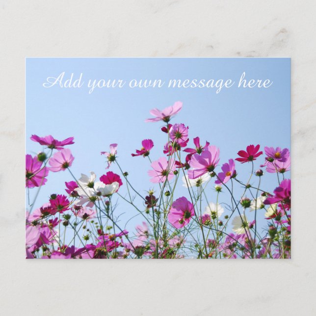Pretty Pink Meadow Custom Message Postkarte (Vorderseite)