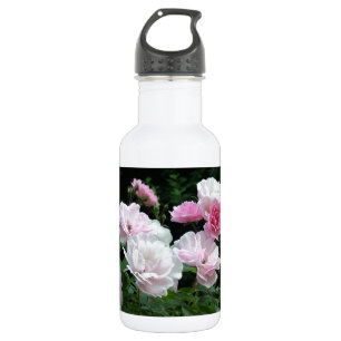 Pretty Pink und White Rose Flower Bushes. Floral, Edelstahlflasche