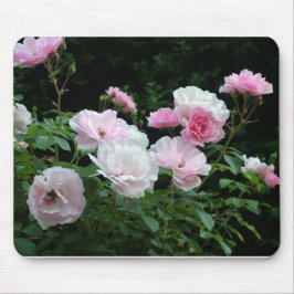 Pretty Pink und White Rose Flower Bushes. Floral, Mousepad