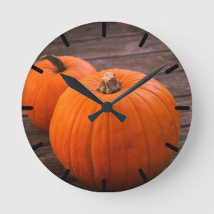 Pretty Plump Pumpkins Runde Wanduhr
