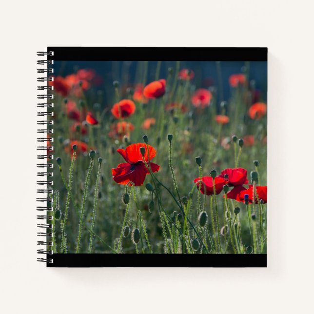 Pretty Poppies in Wild Meadow Photo Notizbuch (Vorderseite)