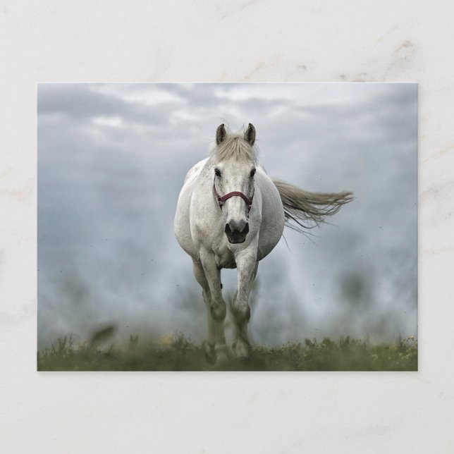 Pretty White Horse Cloud Photo Postkarte (Vorderseite)