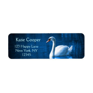 Pretty white swan floating on blue lake