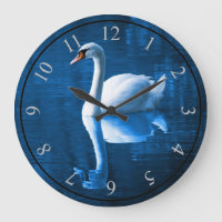 Pretty white swan floating on blue lake