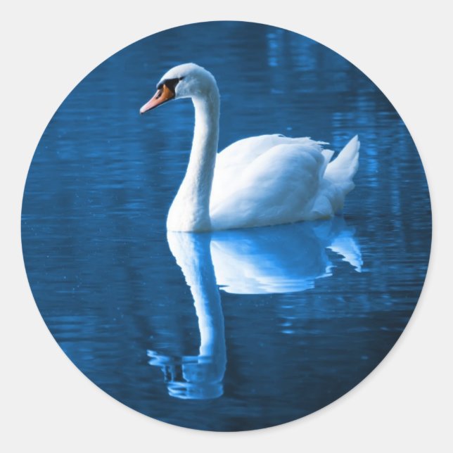 Pretty white swan floating on blue lake runder aufkleber (Vorderseite)