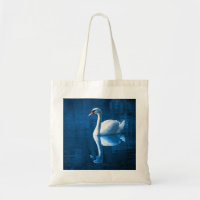 Pretty white swan floating on blue lake