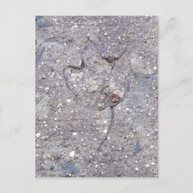 Preuve d'automne - Carte feuille (Devant)