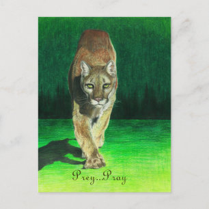 Prey...Bete Cougar Big Cat Postcard Postkarte