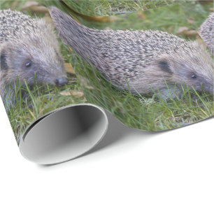 Prickles- Europäischer Igel Geschenkpapier