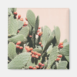 Prickley Birnen-Kaktus Magnet