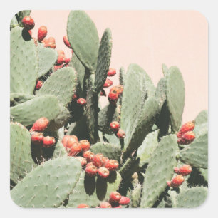 Prickley Birnen-Kaktus Quadratischer Aufkleber