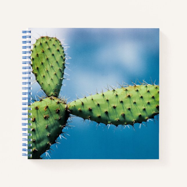 Prickley Cactus Notizbuch (Vorderseite)