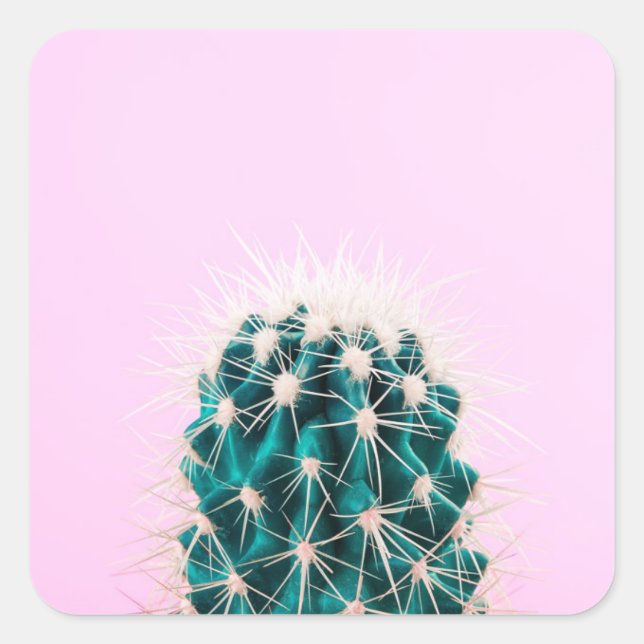 Prickley Cactus pink Quadratischer Aufkleber (Vorderseite)