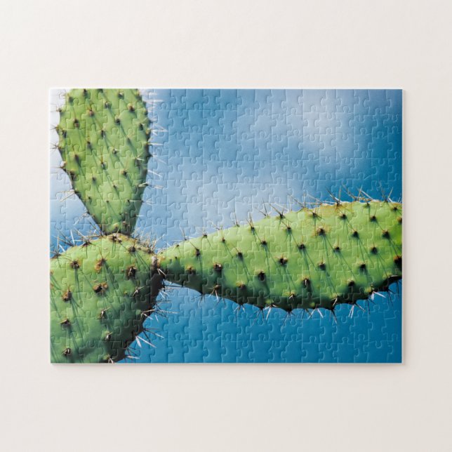Prickley Kaktus (Horizontal)
