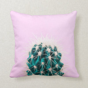 Prickley Kaktus auf Rosa Kissen