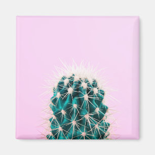 Prickley Kaktus auf Rosa Magnet