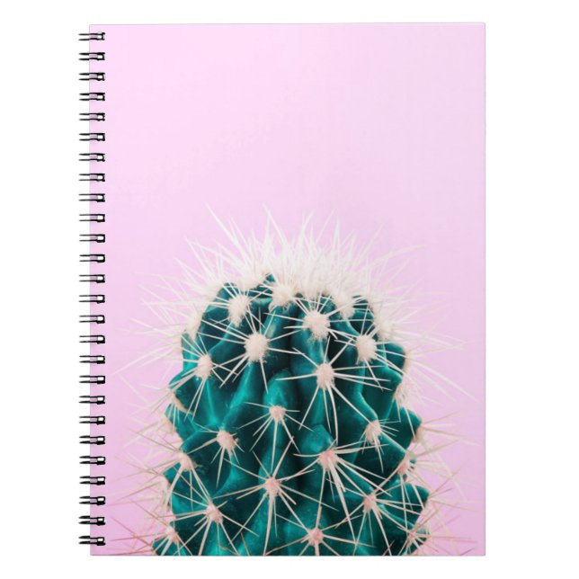 Prickley Kaktus auf Rosa Notizblock (Vorderseite)