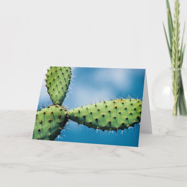 Prickley Kaktus Karte (Vorderseite)