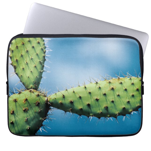 Prickley Kaktus Laptopschutzhülle (Vorderseite)