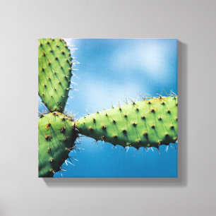 Prickley Kaktus Leinwanddruck