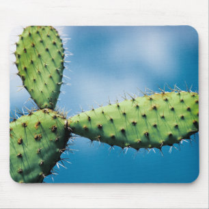 Prickley Kaktus Mousepad