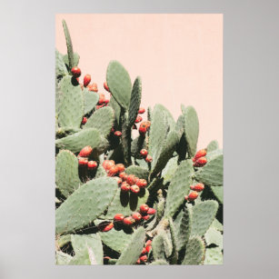 Prickley Pear Cactus Poster