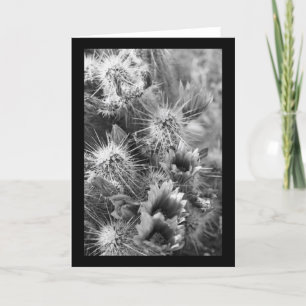 Prickly Cactus Desert Blume Foto Grußkarten Karte