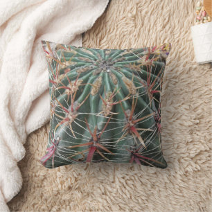 Prickly Cactus Desert Pflanze Südwestdesign Kissen