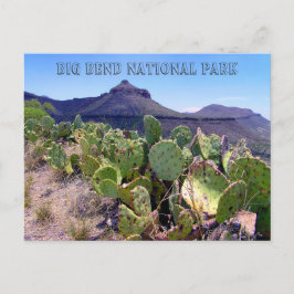 Prickly Pear Cactus Big Bend Postkarte