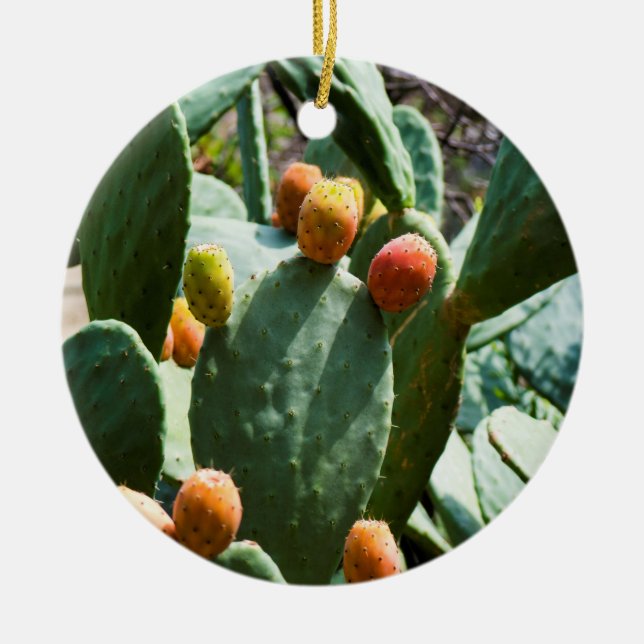 Prickly Pear Cactus Fruit Keramik Ornament (Vorne)