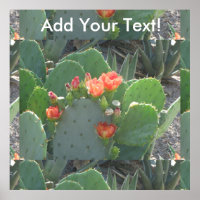 Prickly Pear Cactus Green Red Bloom