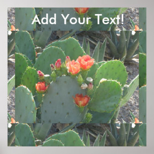Prickly Pear Cactus Green Red Bloom Poster