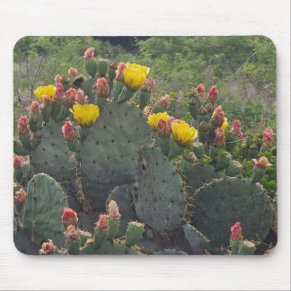 Prickly Pear Cactus Mousepad