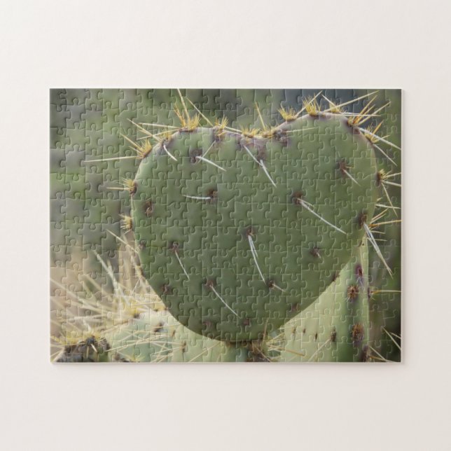 Prickly Pear Heart (Horizontal)
