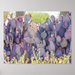 Prickly Pears   Poster